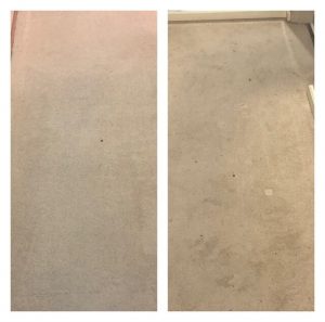 ניקוי שטיחים מקיר לקיר בתל אביב WeClean